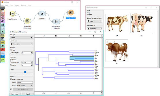 Image analytics with deep-network embedding.